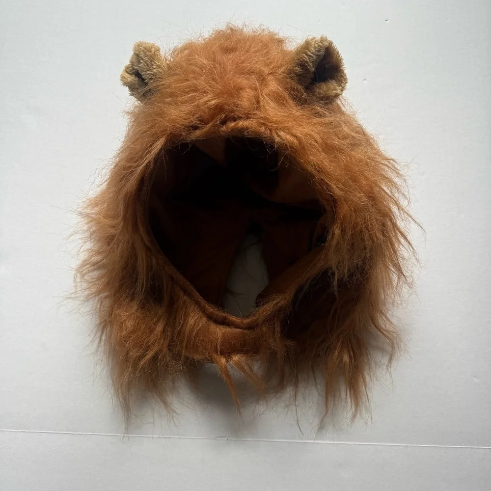 Cowardly Lion Wizard of Oz Boy Halloween Costume Realistic Mane Small 6-7 - Picture 7 of 16